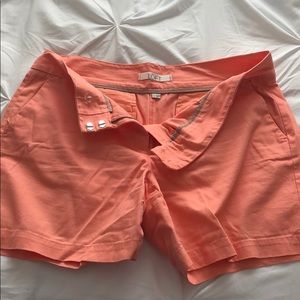 loft shorts